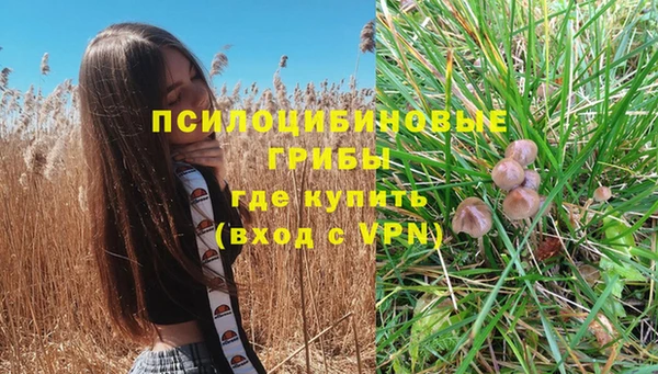 эйфоретик Белокуриха