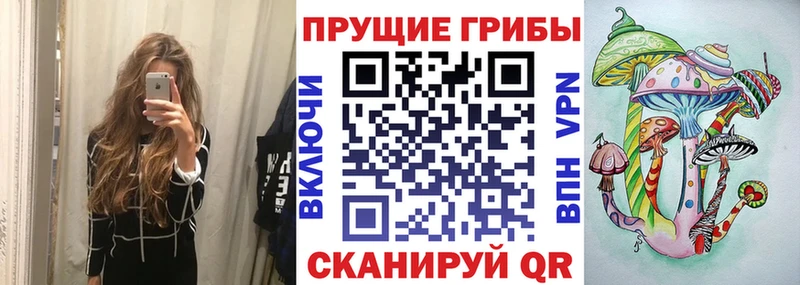 где найти   Горняк  Псилоцибиновые грибы GOLDEN TEACHER 
